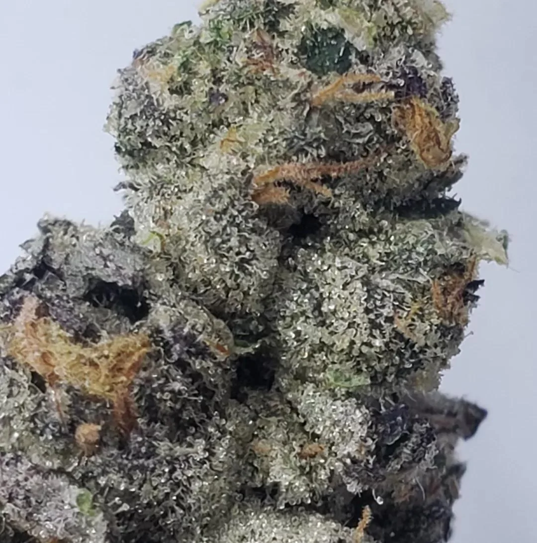 Permanent Marker • Kingsmen Crew - Image 2