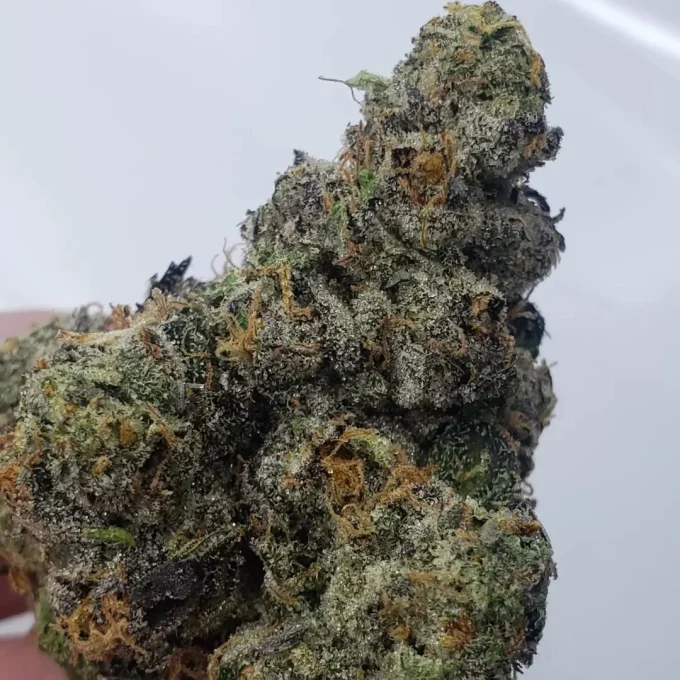 Permanent Marker • Kingsmen Crew