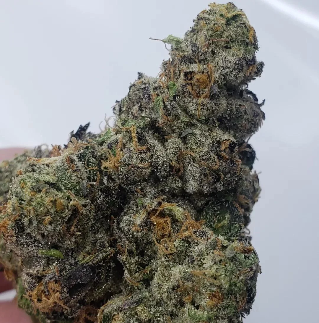 Permanent Marker • Kingsmen Crew - Image 3