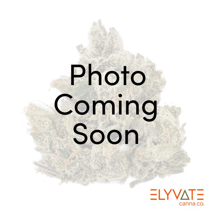 Pink Sapphire • Grease Godz Exclusive