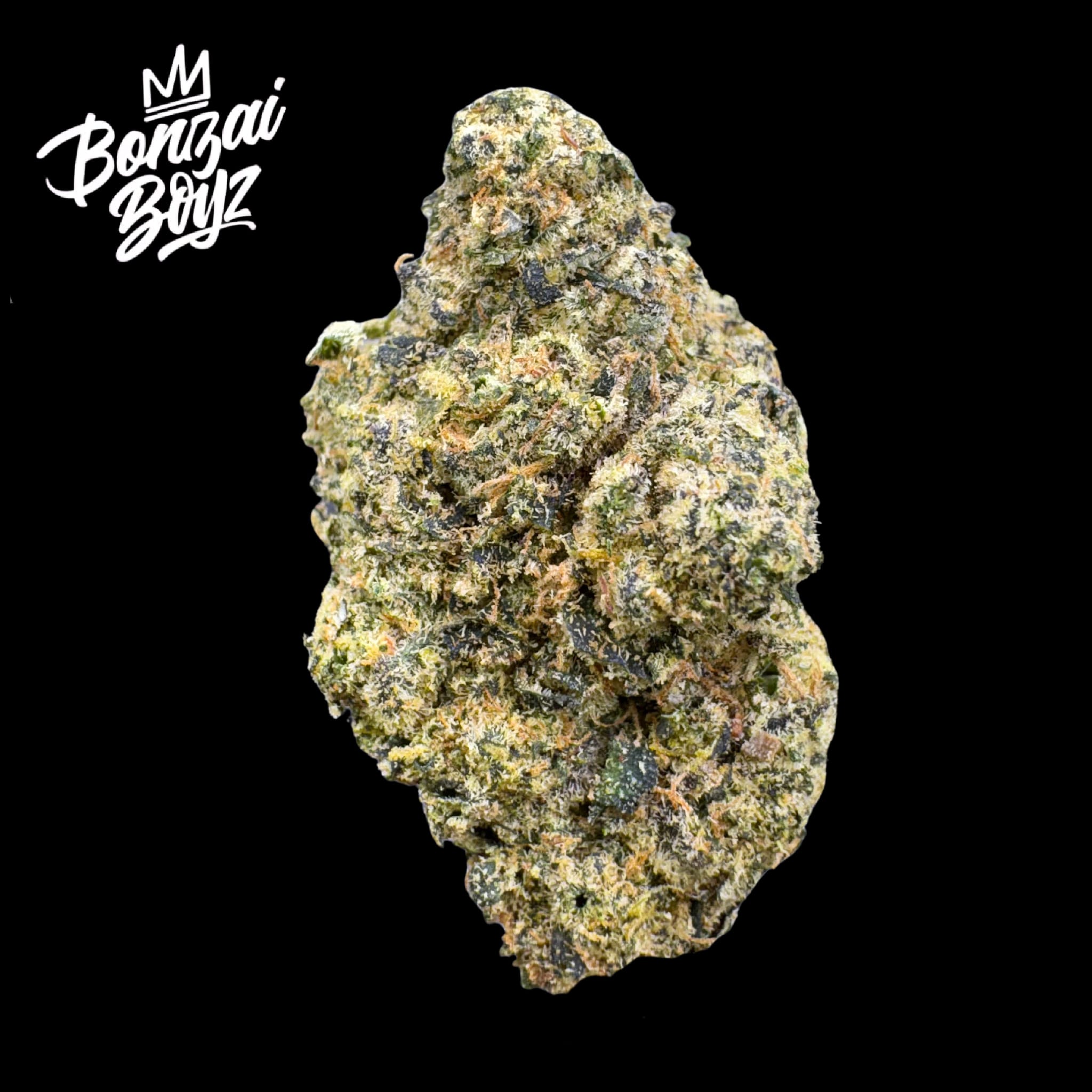 Gas Face • Bonzai Boyz