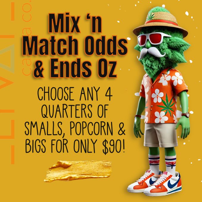 Mix & Match Odds & Ends Oz.