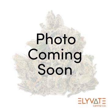 Pink Sapphire • Grease Godz Exclusive