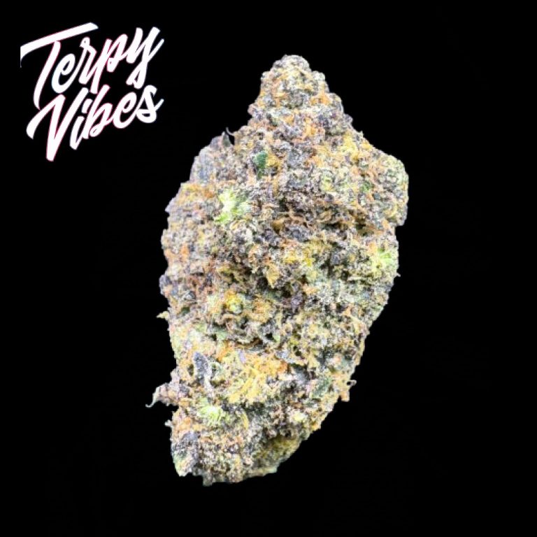 Gelato 33 LSO (Mediums) • Terpy Vibes