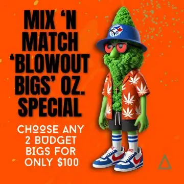Mix ‘n Match Blowout ‘Bigs’ Oz. Special • $100