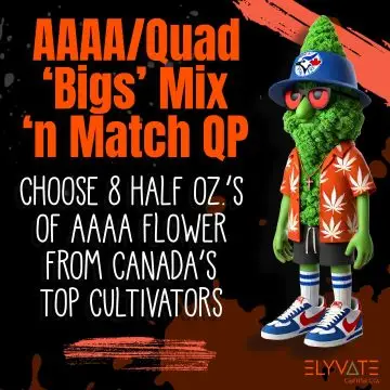 Growers Choice • AAAA ‘Bigs’ Mix ‘n Match QP