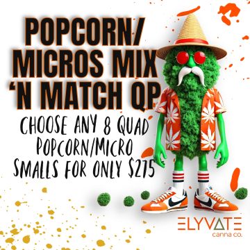 Quad 'Popcorn/Micro' Smalls • Mix & Match QP